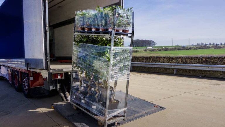 Cannabis shipping 1 1 768x432