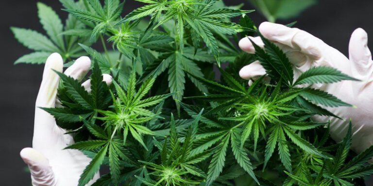 interior exterior destacada 7 768x384